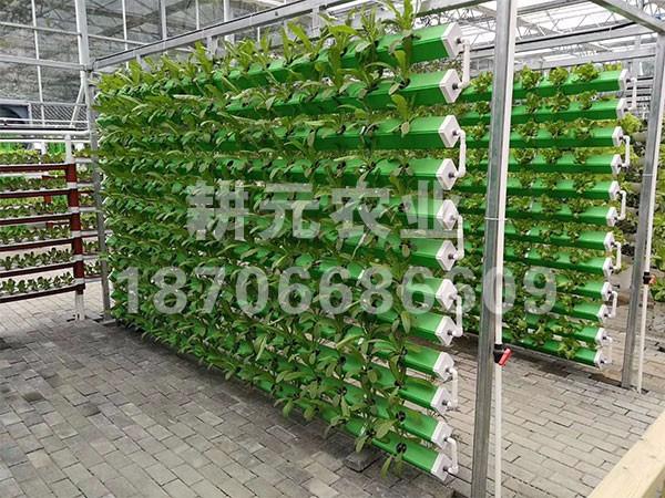 籬墻無土栽培設備